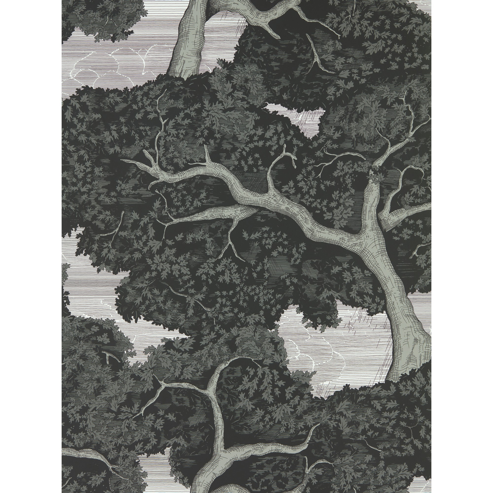 Eternal Oak Wallpaper 113040 By Harlequin In Ebony First Light